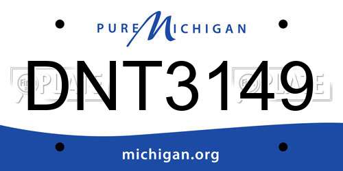 DNT3149 Michigan License Plate