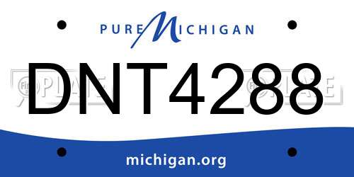 DNT4288 Michigan License Plate