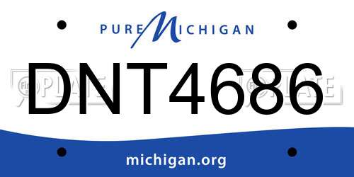 DNT4686 Michigan License Plate