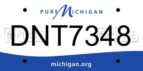 DNT7348 Michigan License Plate