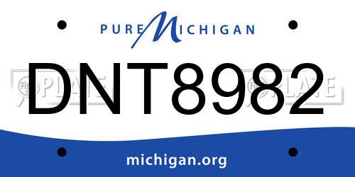 DNT8982 Michigan License Plate
