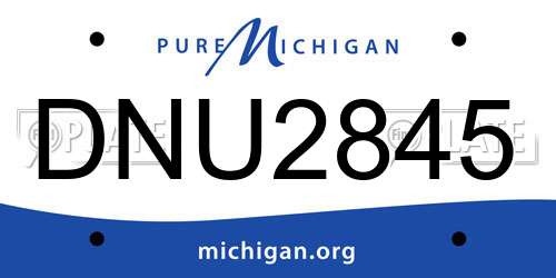 DNU2845 Michigan License Plate