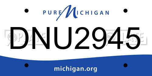 DNU2945 Michigan License Plate