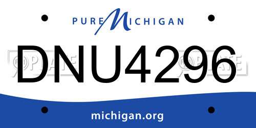 DNU4296 Michigan License Plate