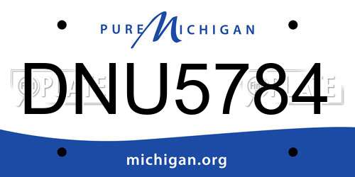 DNU5784 Michigan License Plate