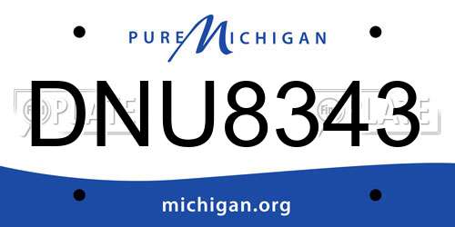 DNU8343 Michigan License Plate
