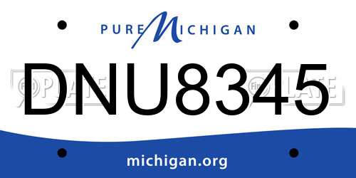 DNU8345 Michigan License Plate
