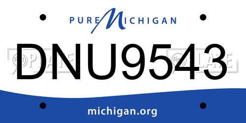 DNU9543 Michigan License Plate