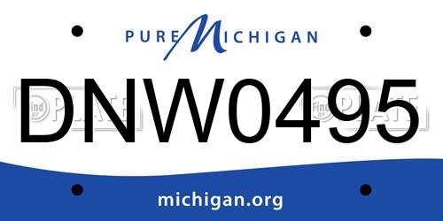 DNW0495 Michigan License Plate