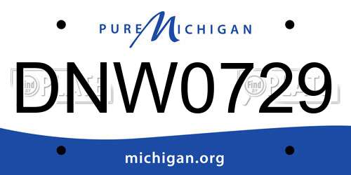 DNW0729 Michigan License Plate
