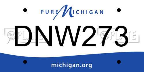 DNW273 Michigan License Plate