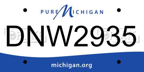 DNW2935 Michigan License Plate