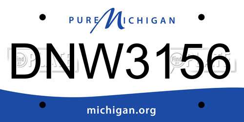 DNW3156 Michigan License Plate