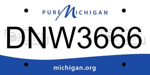 DNW3666 Michigan License Plate