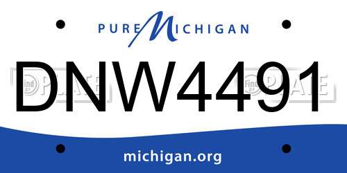 DNW4491 Michigan License Plate