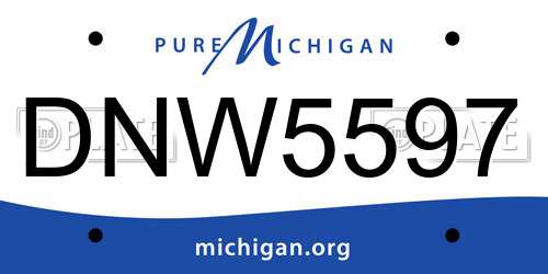 DNW5597 Michigan License Plate