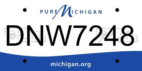 DNW7248 Michigan License Plate