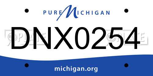 DNX0254 Michigan License Plate