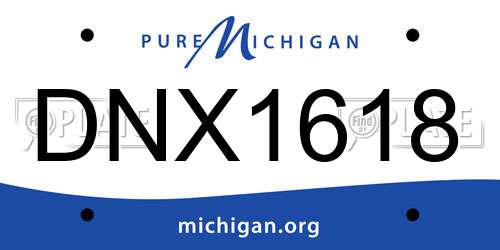 DNX1618 Michigan License Plate