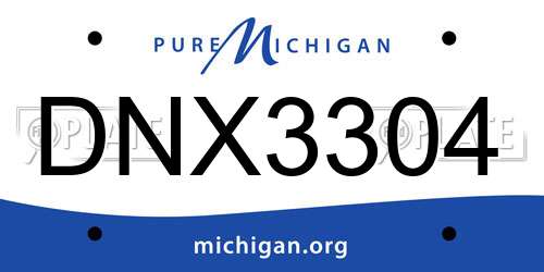 DNX3304 Michigan License Plate