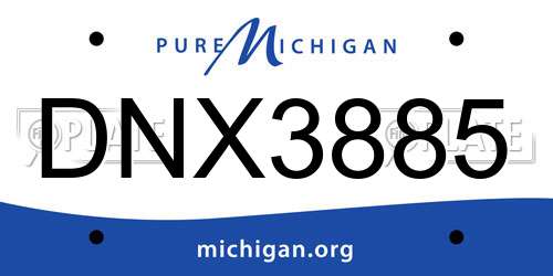 DNX3885 Michigan License Plate