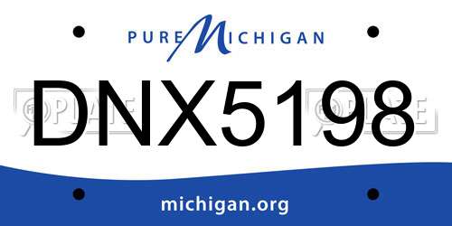 DNX5198 Michigan License Plate