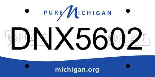 DNX5602 Michigan License Plate