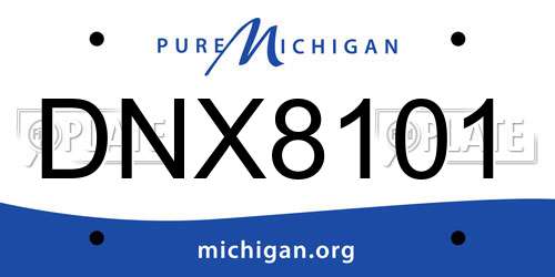 DNX8101 Michigan License Plate
