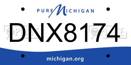 DNX8174 Michigan License Plate