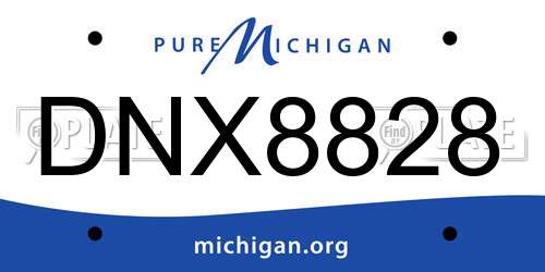 DNX8828 Michigan License Plate