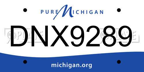 DNX9289 Michigan License Plate