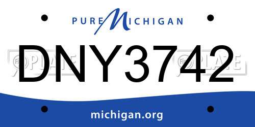 DNY3742 Michigan License Plate