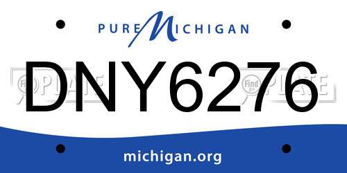 DNY6276 Michigan License Plate