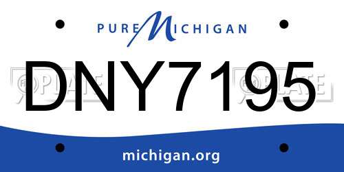 DNY7195 Michigan License Plate