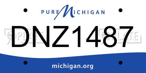 DNZ1487 Michigan License Plate