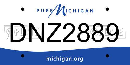 DNZ2889 Michigan License Plate