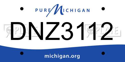 DNZ3112 Michigan License Plate