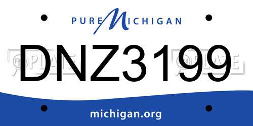 DNZ3199 Michigan License Plate