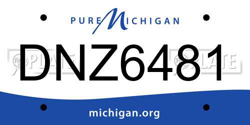 DNZ6481 Michigan License Plate