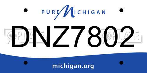 DNZ7802 Michigan License Plate