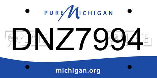 DNZ7994 Michigan License Plate