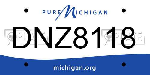 DNZ8118 Michigan License Plate