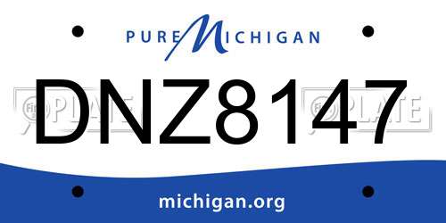 DNZ8147 Michigan License Plate