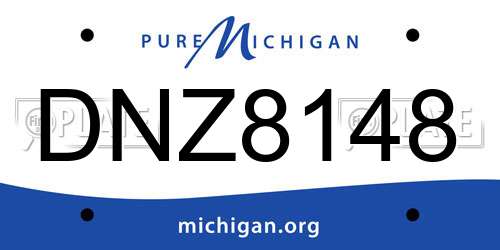 DNZ8148 Michigan License Plate