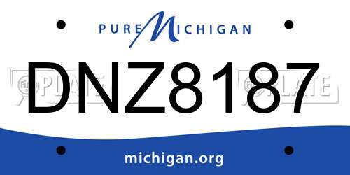 DNZ8187 Michigan License Plate