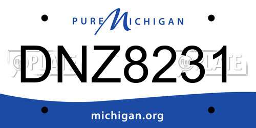 DNZ8231 Michigan License Plate