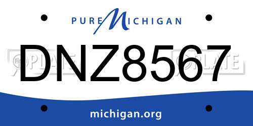 DNZ8567 Michigan License Plate