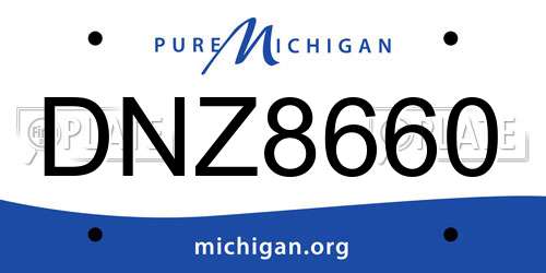 DNZ8660 Michigan License Plate