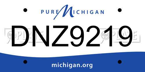 DNZ9219 Michigan License Plate