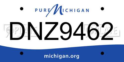 DNZ9462 Michigan License Plate